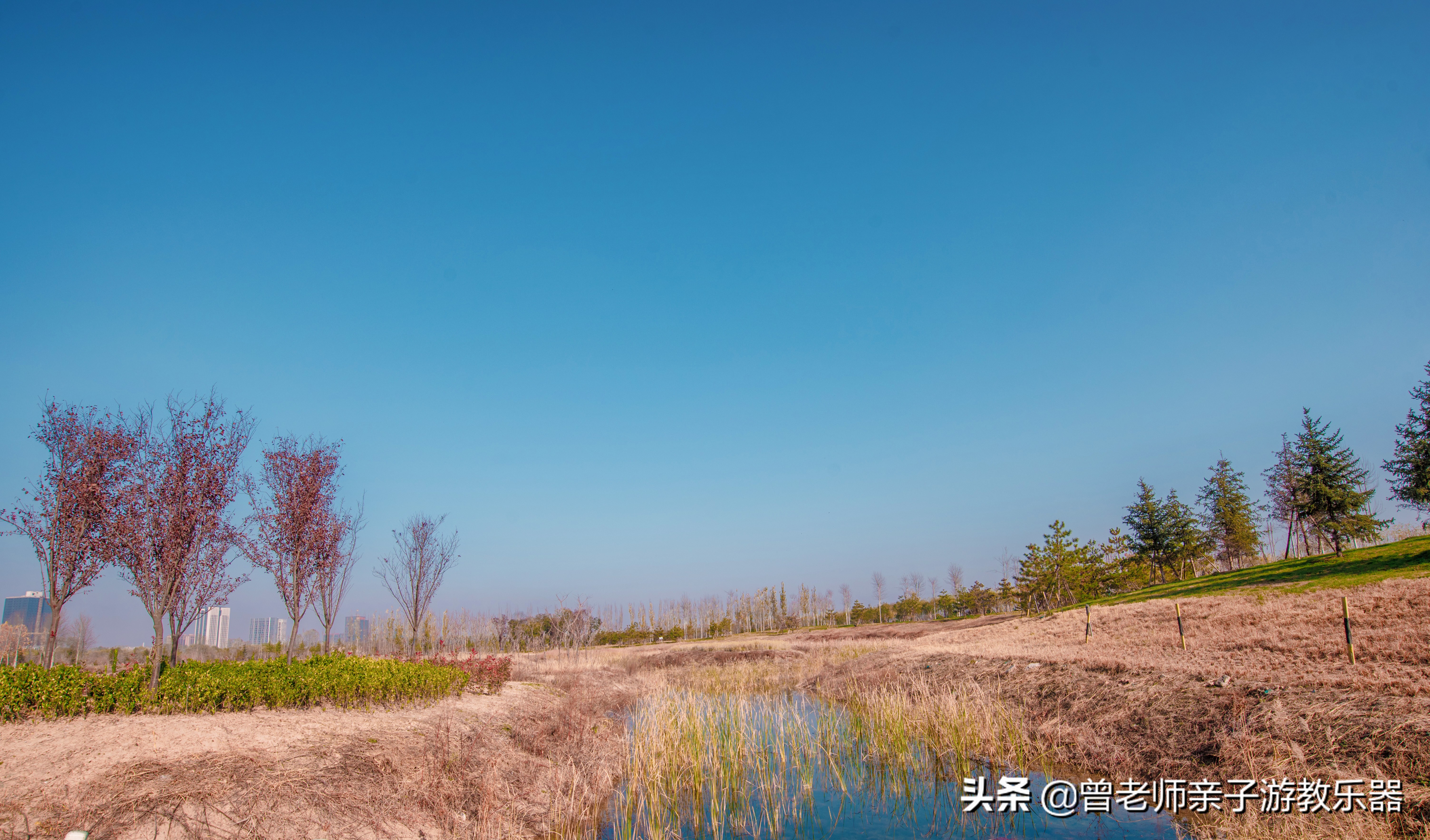 秦汉渭河湿地公园儿童,渭河湿地公园儿童乐园