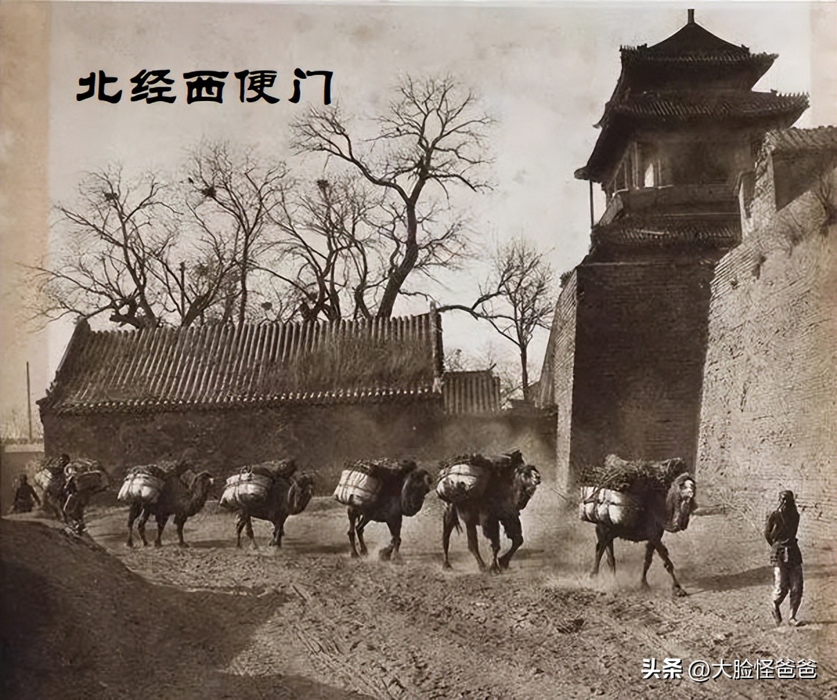 上古十大神奇的传说,真正的上古神话