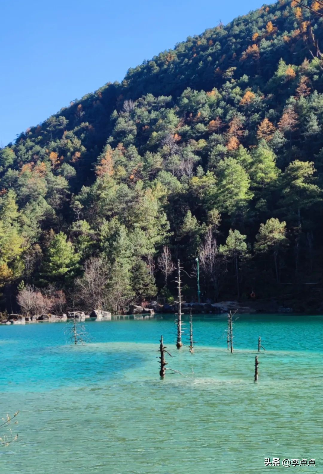 云南旅游疫情最新政策,云南旅游团疫情最新消息