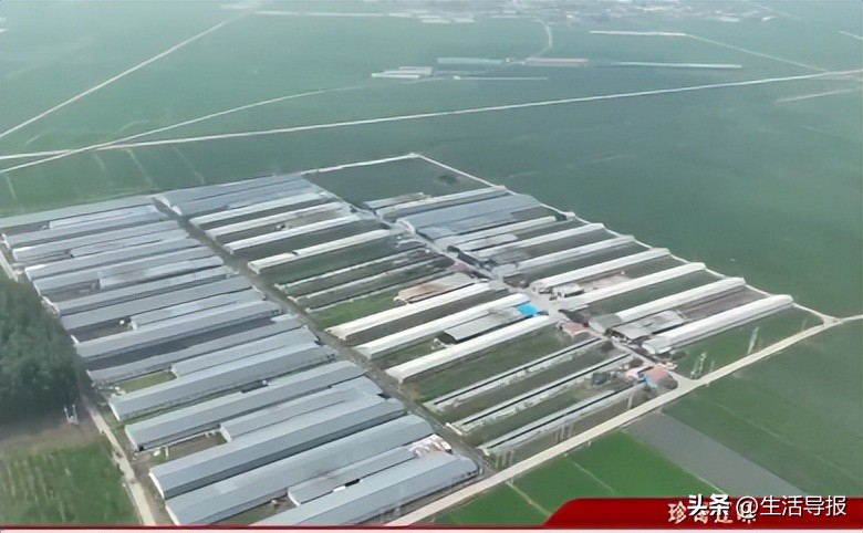 鐝嶅铏崏,鐝嶅杈藉懗澶ц繛