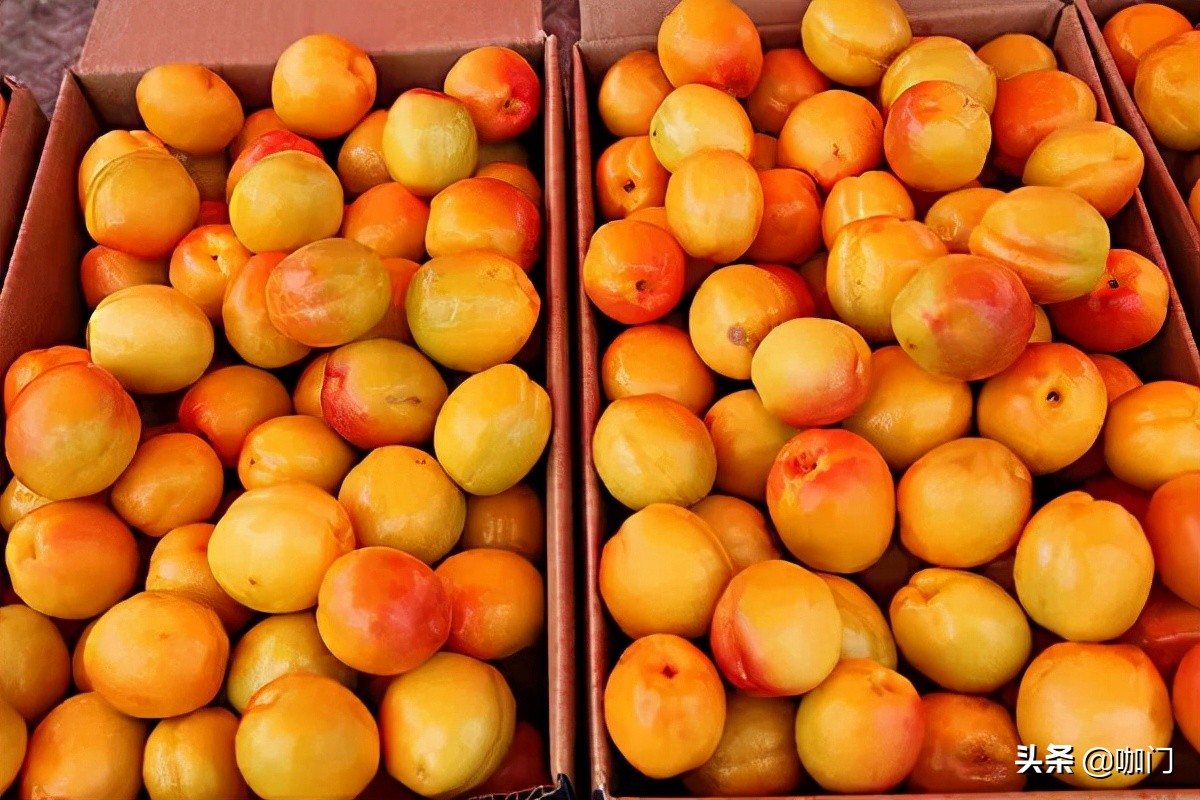 西北茶饮“出走”记：出圈重庆、深圳，单店最高月入80万+