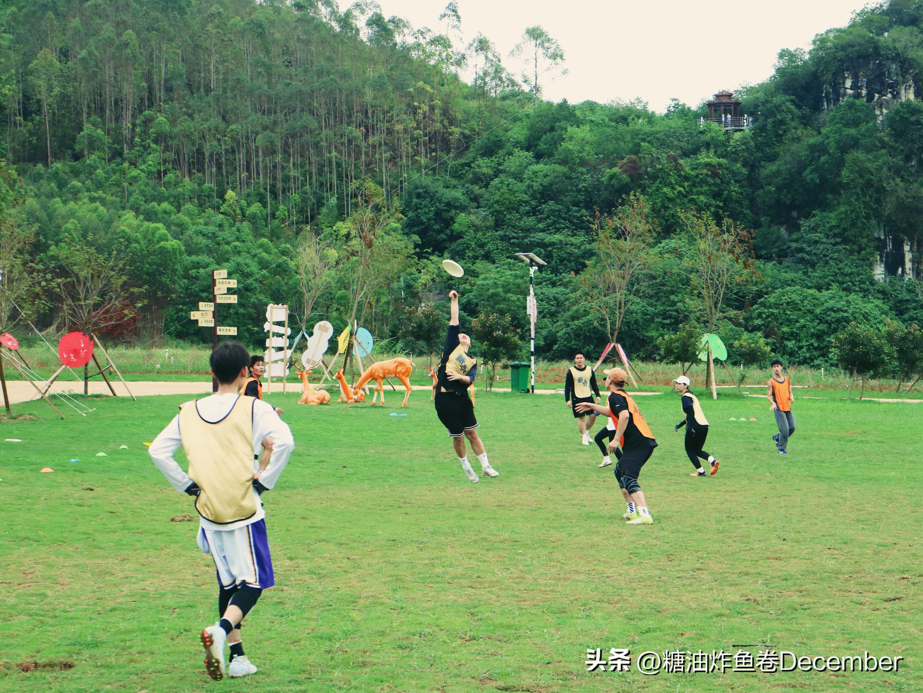 石埠乳业生态观光牧场有限公司,广西石埠乳业生态观光牧场抖音号