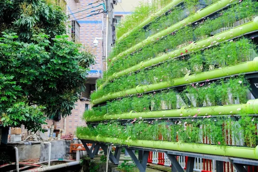 深圳美丽的古村落,网红古村落风景