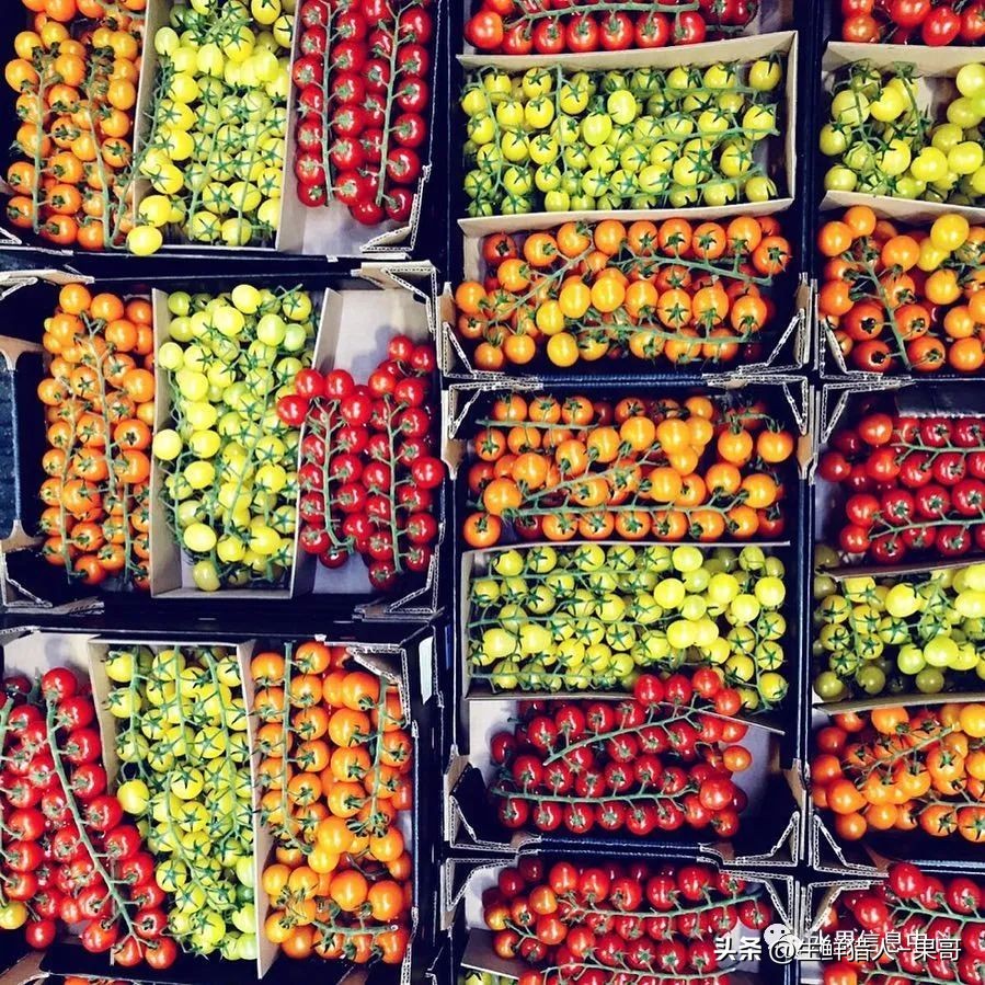 中国十大果蔬批发市场,全国十大蔬果批发市场