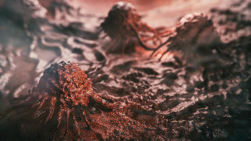 卵巢癌一发现就是晚期吗,卵巢癌发现肝上有病灶