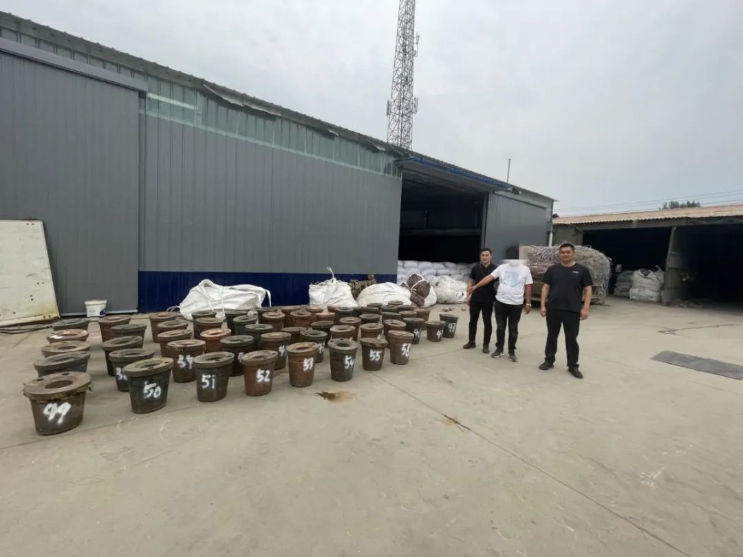 百日行动引领严打违法犯罪,百日行动严打民生犯罪