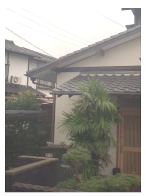 快乐的旅游回忆,快乐的旅行美好回忆