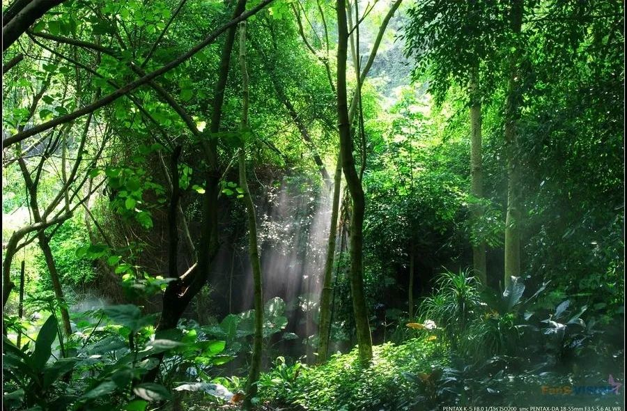 厦门小众打卡地推荐岛内,去厦门必须打卡的地方推荐一下