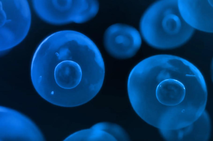 化疗死得更快为什么还要化疗,化疗已被医学界证明是错误的吗