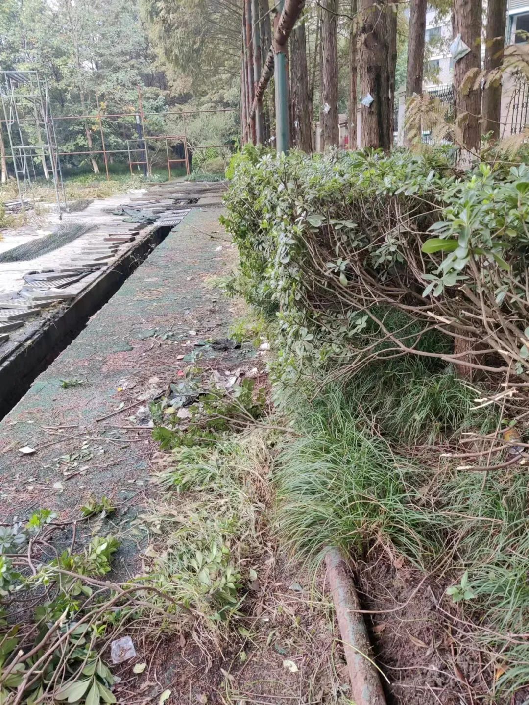 杭州最著名篮球场,杭州最著名的篮球场