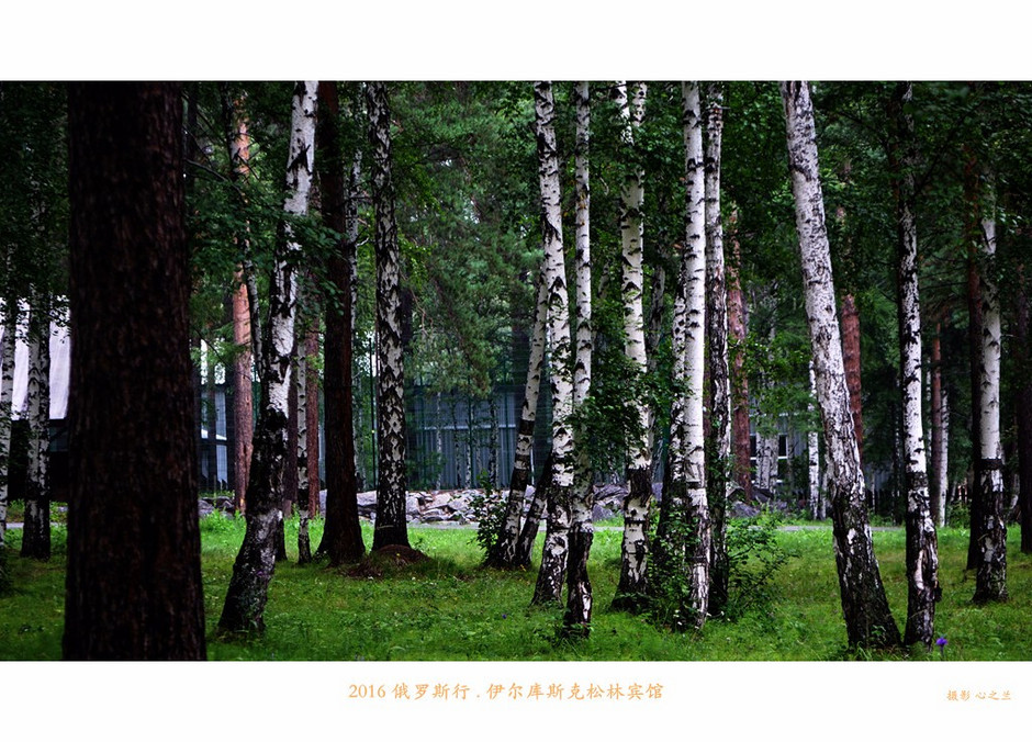 俄罗斯旅行记完整视频,俄罗斯行摄