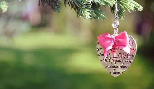 捉蛇人的故事,女人捉蛇的下场