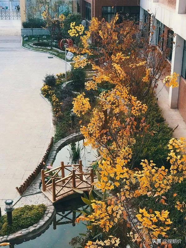 郑州市惠济区香山小学排名,惠济区香山小学好吗