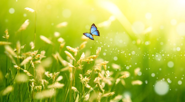 2021-2022七年级上册语文期末答案,2020-2021七年级上册语文期末试卷