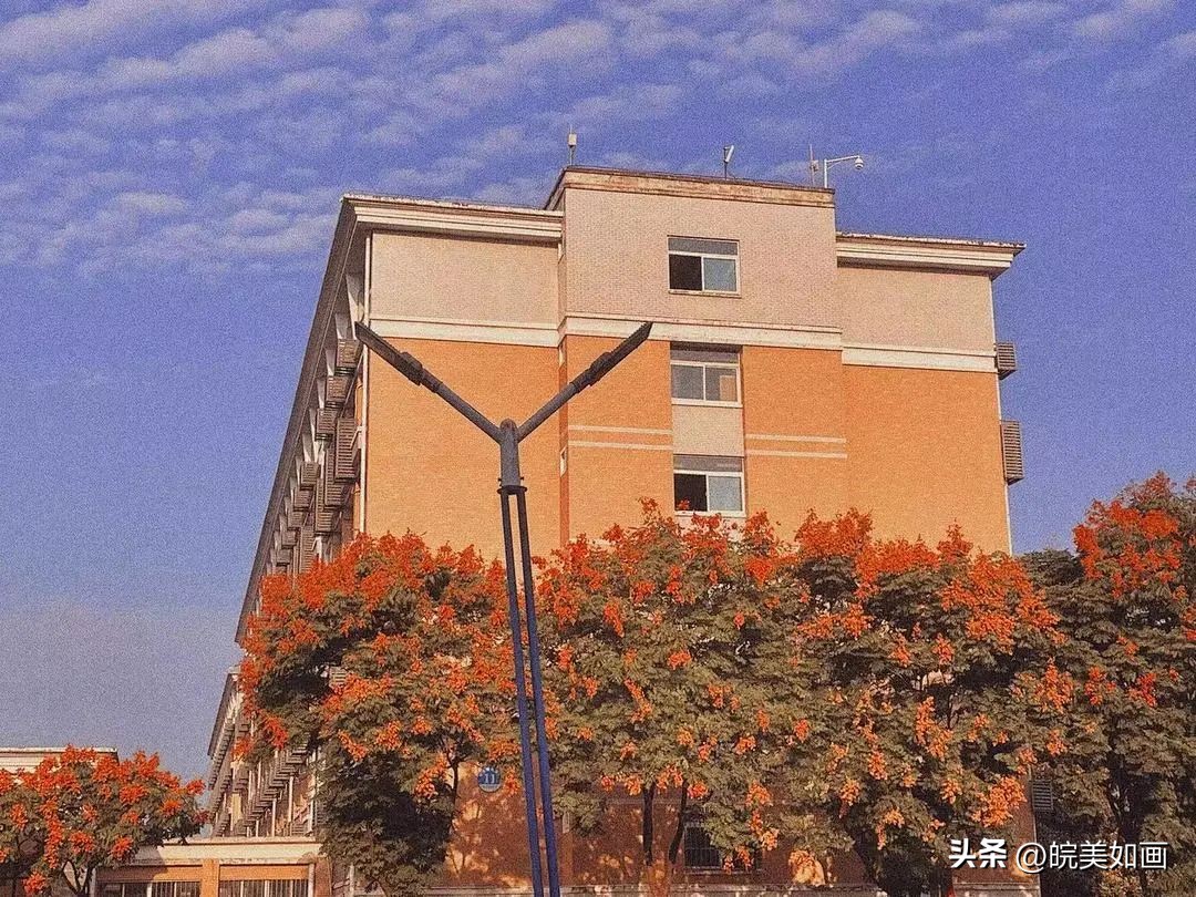 安徽大学好看的风景,高校最美秋景