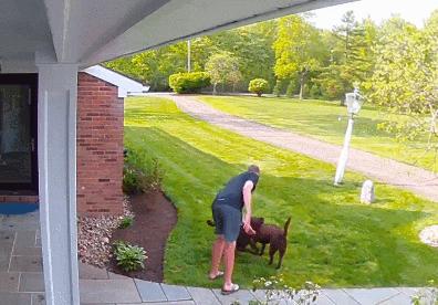 狗子几天不吃饭喝水怎么回事,狗子七天没进食嘴被骨头卡住了
