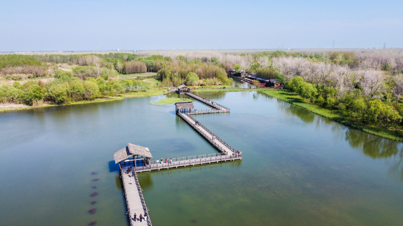 春日下江南杭州,泰州一日游攻略美食