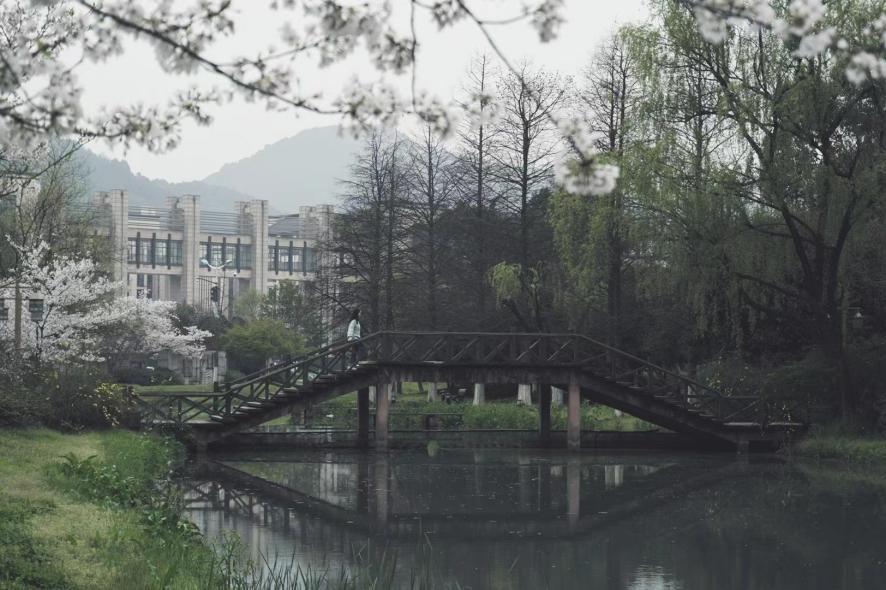 浙江大学新传考研难不难,新传浙江工业大学考研