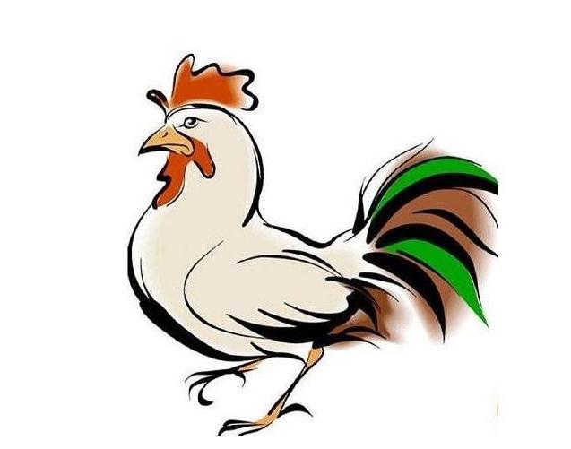 属鸡人在哪一年运气比较差,属鸡人运气解析大全