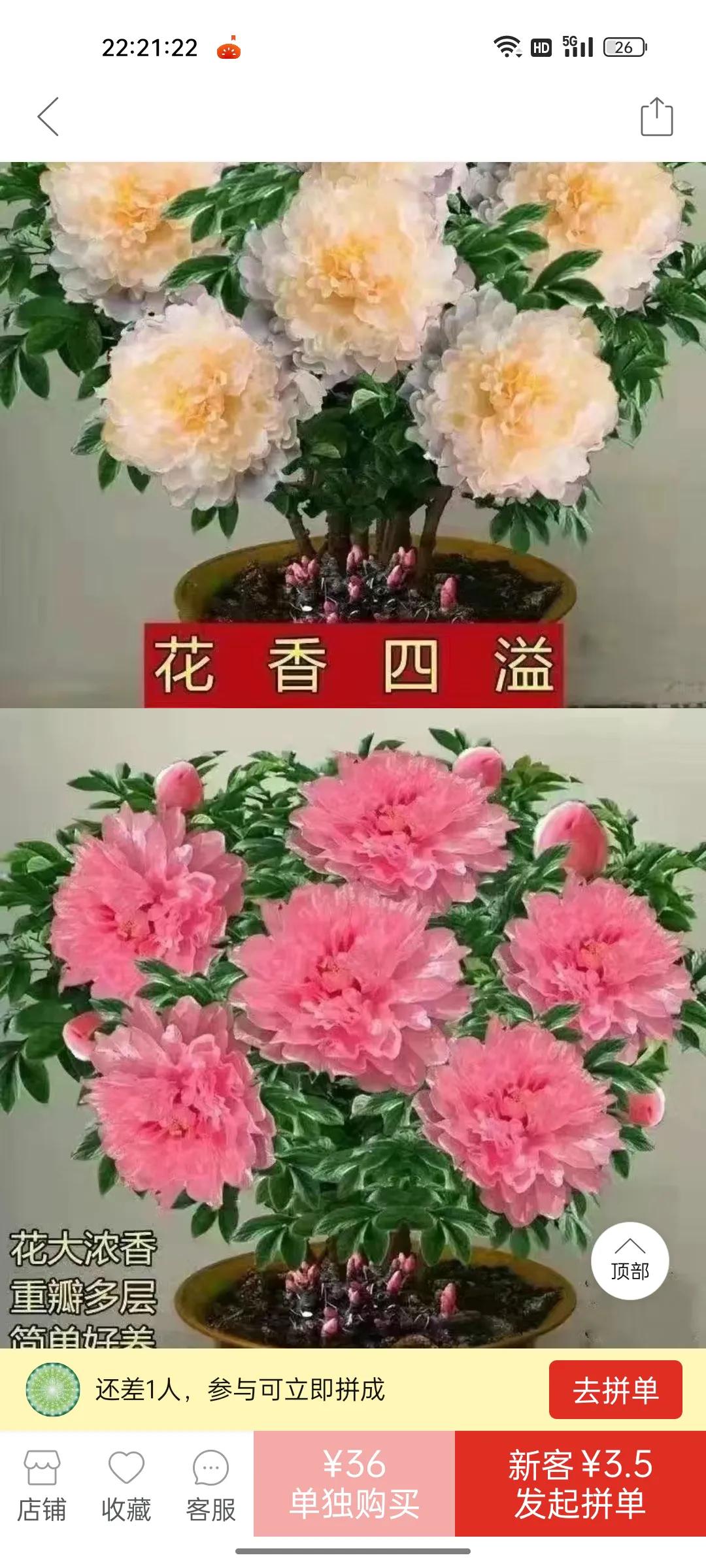 网上卖假花靠谱吗,花卉市场骗人的套路