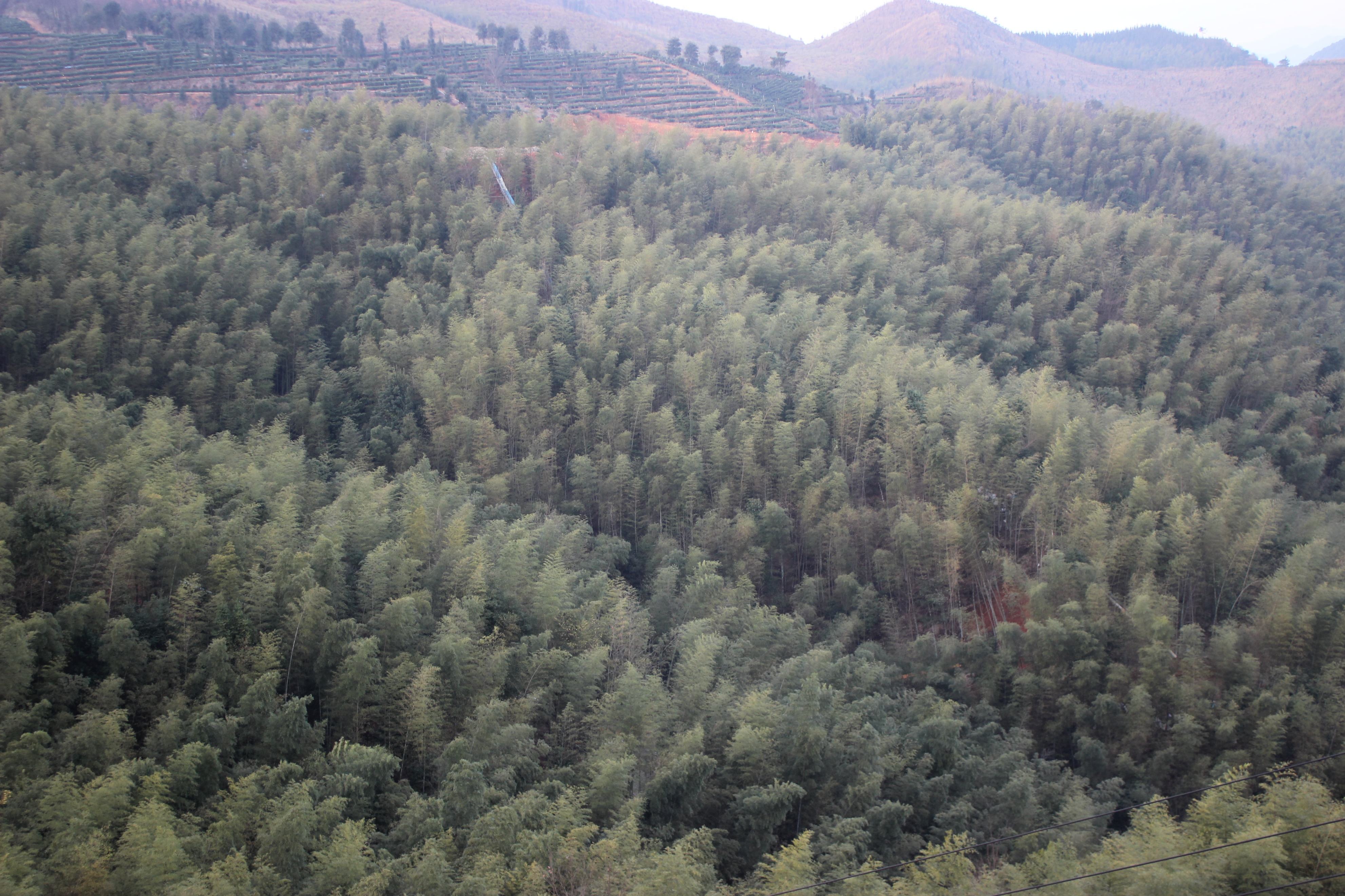 赣州周末出游攻略,春节赣州出发2-3天短途旅游