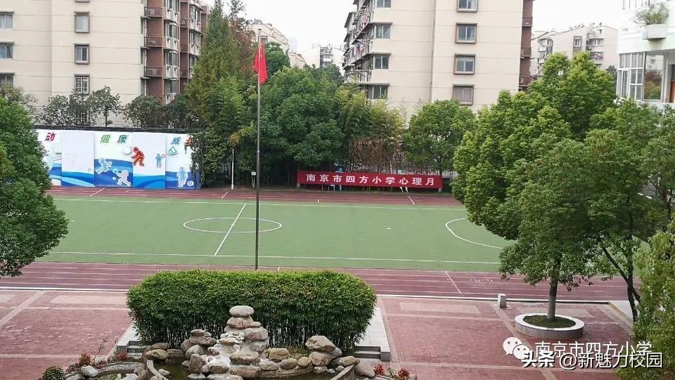 青岛小学开展心理健康宣传月活动,小学多形式开展心理健康月活动