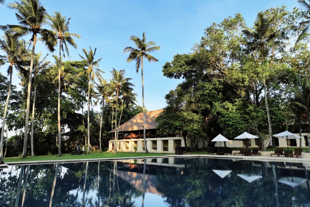 这可能是全球性价比最高的一家阿丽拉