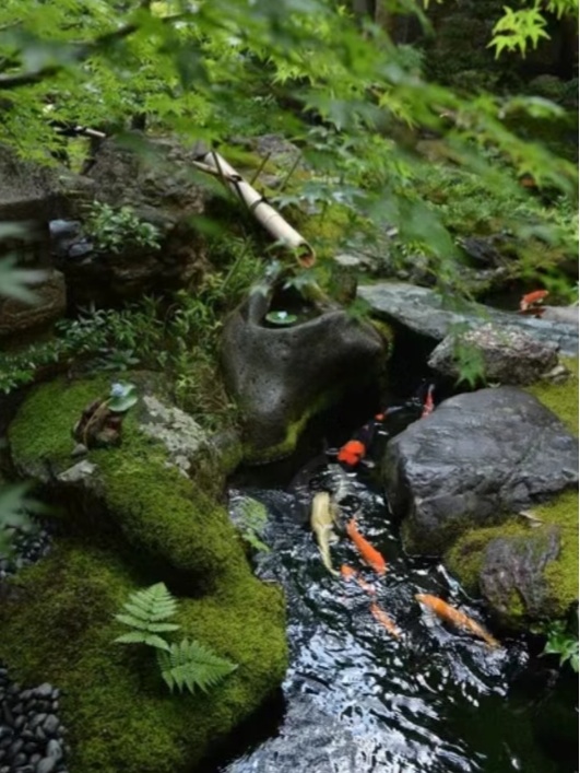 京都旅游住宿排行榜,京都人的私房雅趣全集