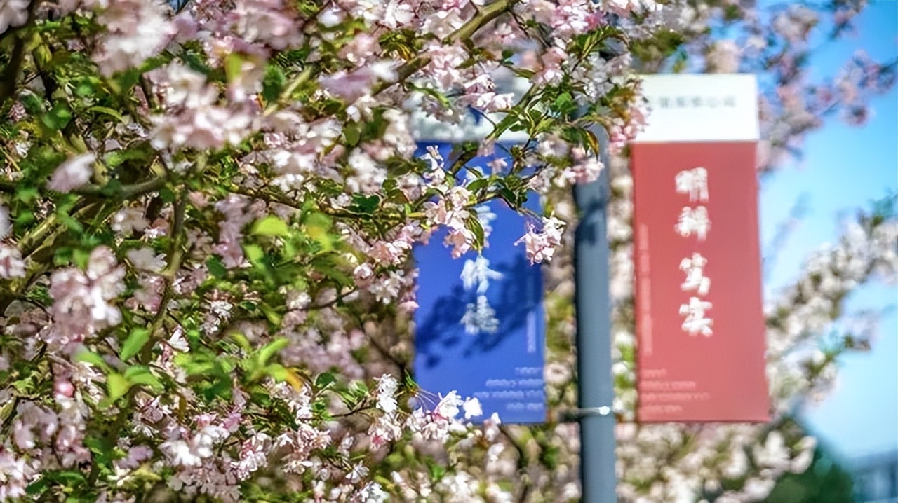 优秀！浙江4名本科生跨专业入职各大知名银行，来自同校同学院
