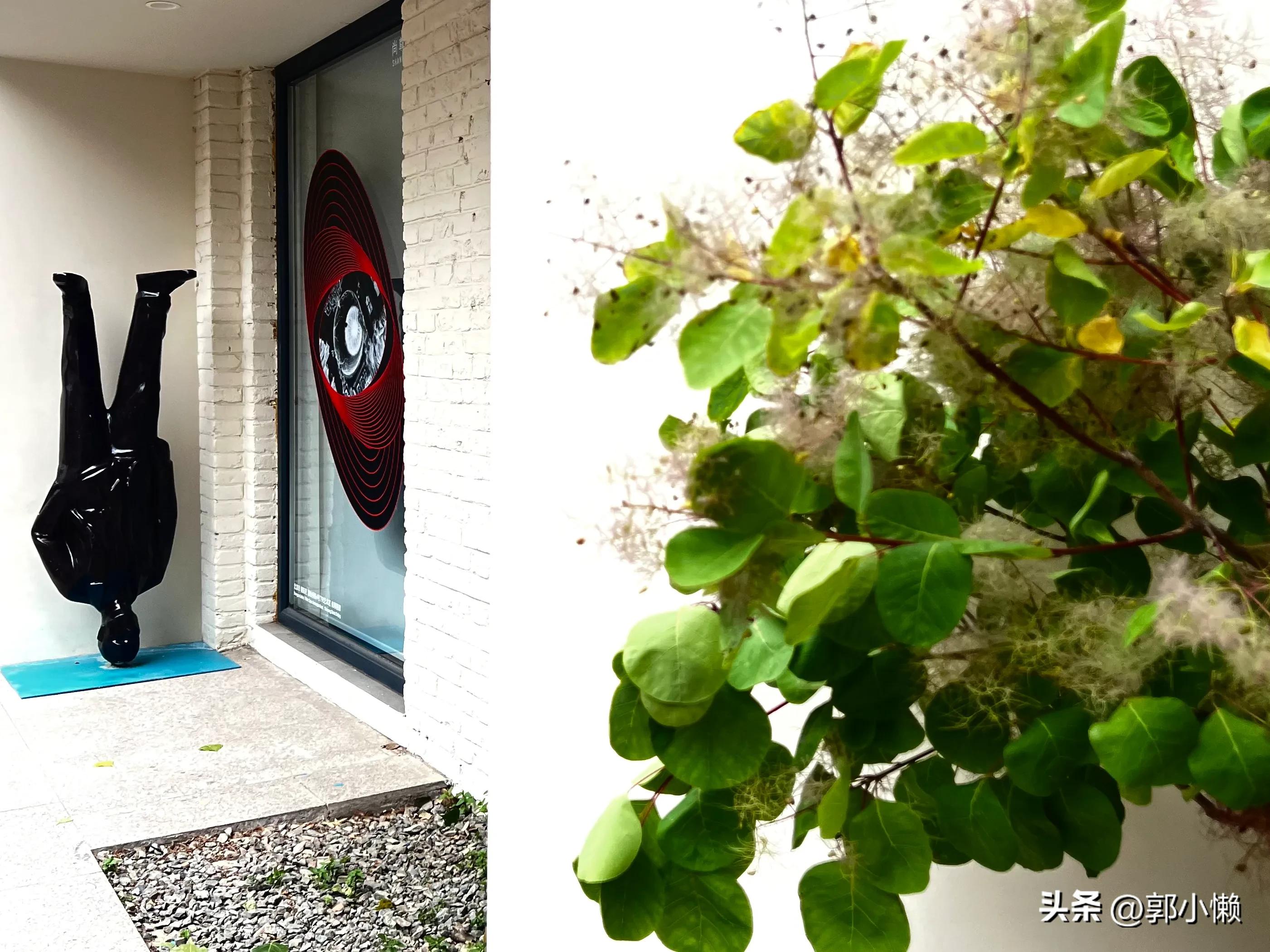 瞳距——18岁超年轻女艺术家桂茜榕北京个展