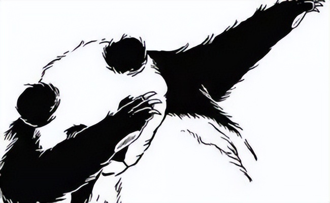 捡到流浪奶猫怎么照顾,捡到流浪小奶猫怎么办