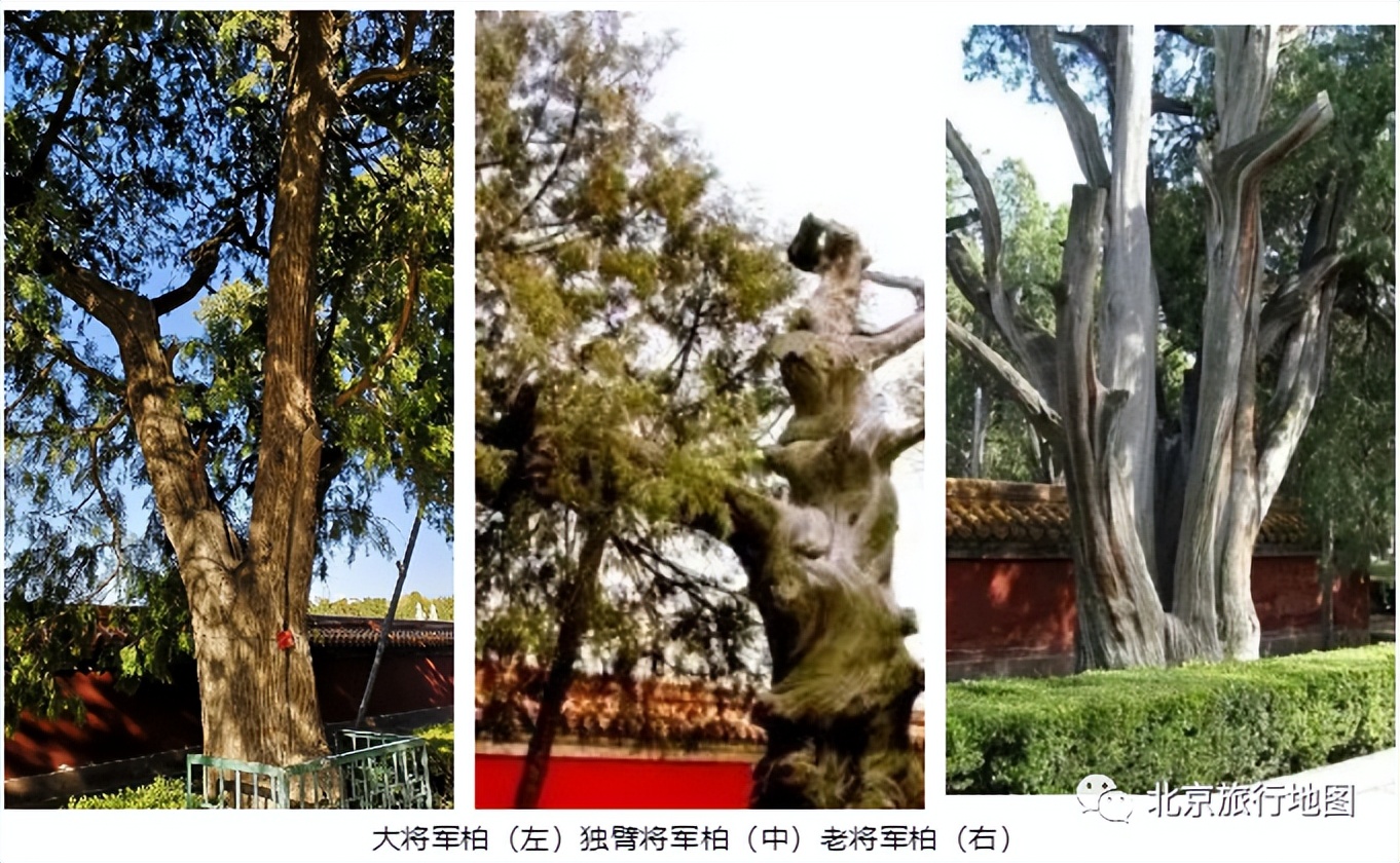 北京地坛公园是什么样子的,北京地坛有什么景点