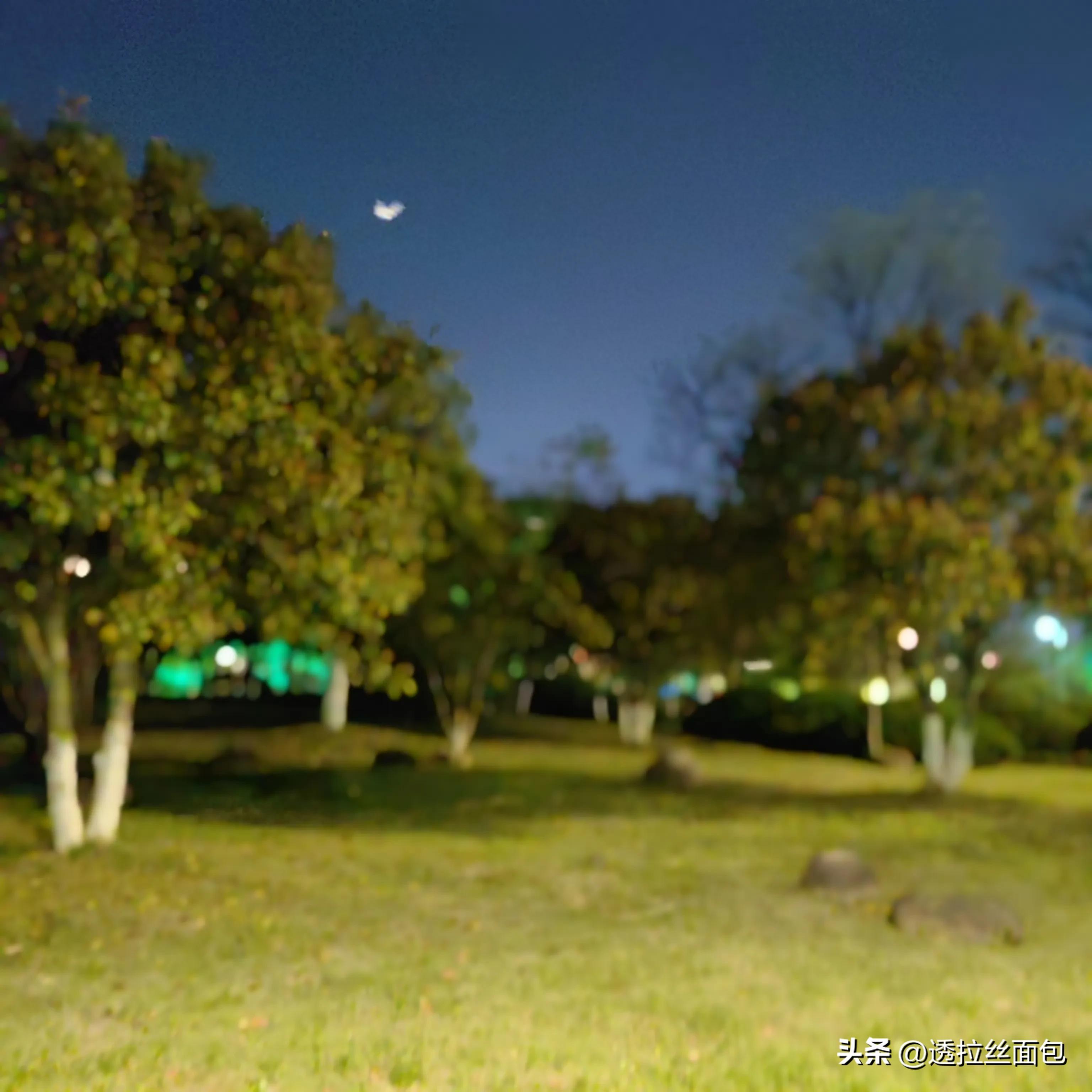柳絮满天飞大家注意安全,柳絮纷飞要警惕