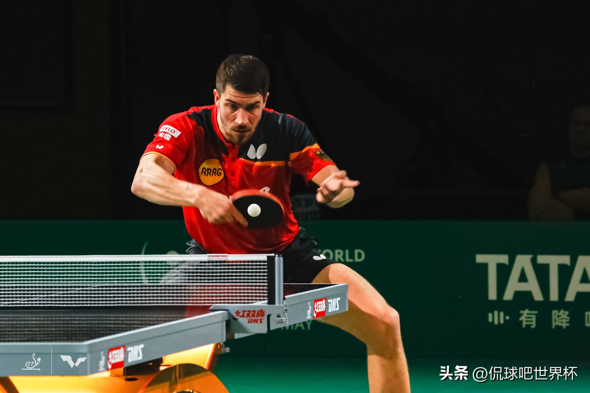 世乒赛最大黑马进决赛,世乒赛欧洲黑马战胜张本智和