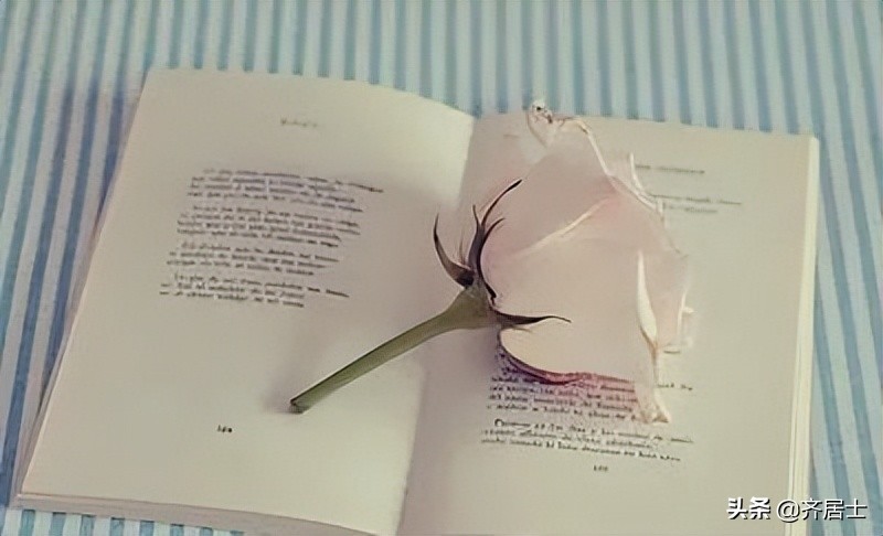 杜永瑞｜|由阅读《修炼校长力》引发的思考