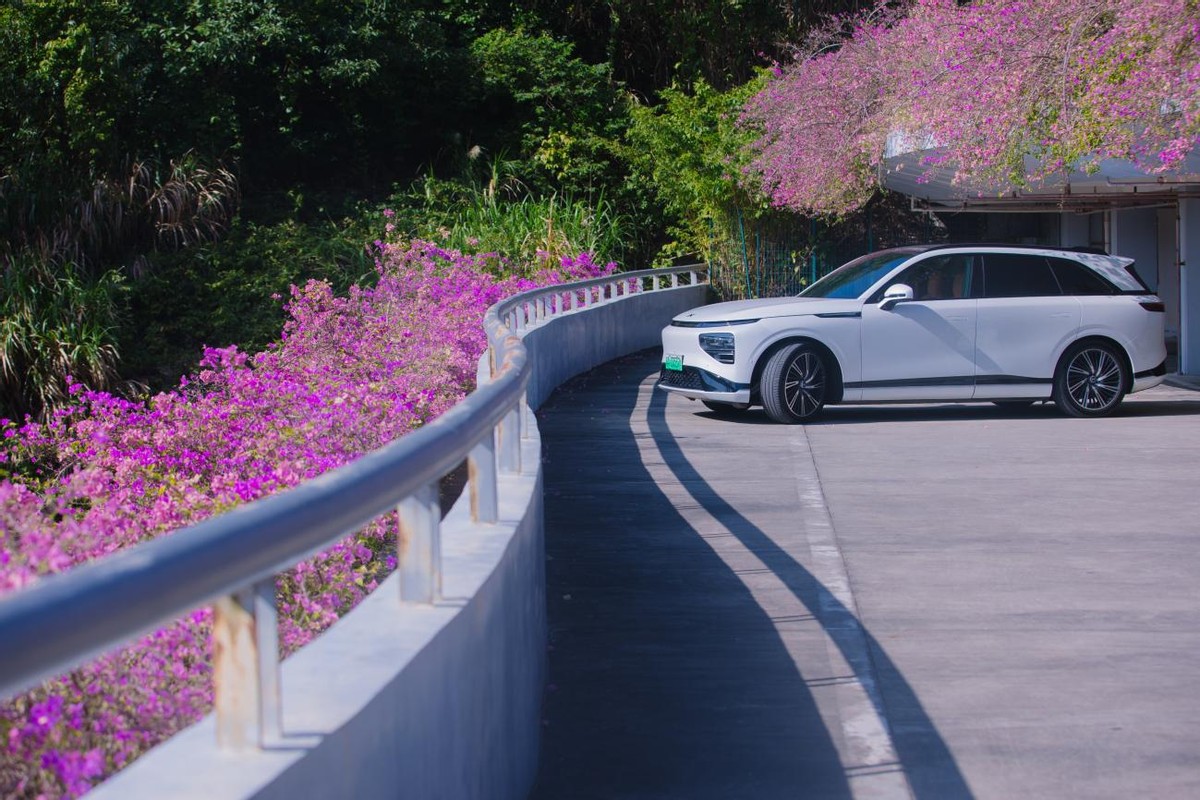 深圳初冬限定，“新伙伴”G9的花海首秀