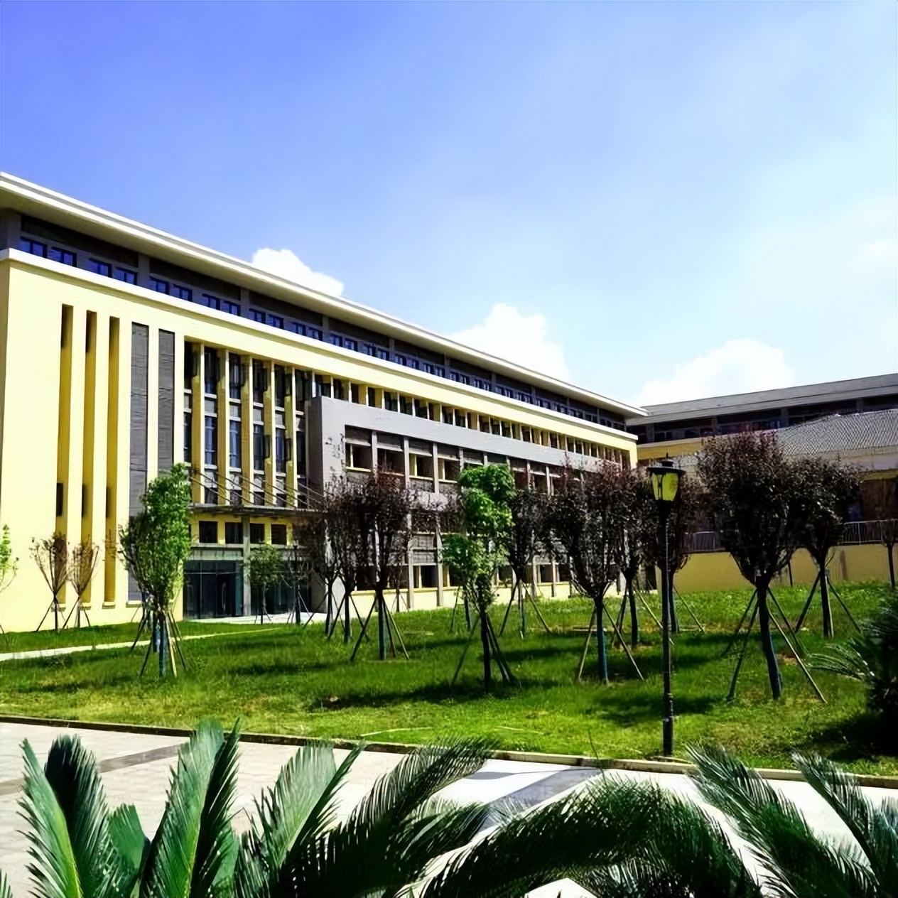 四川护理职业学院报考川内代码,四川护理职业技术学院招生人数