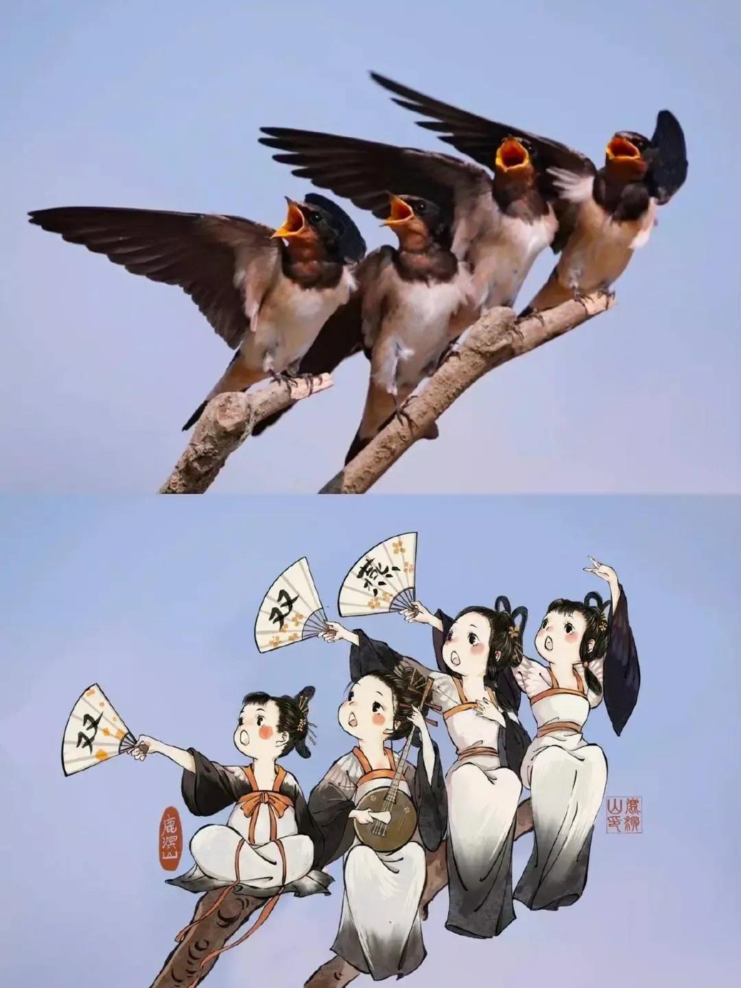 贵州女孩学医,贵阳女孩子学医