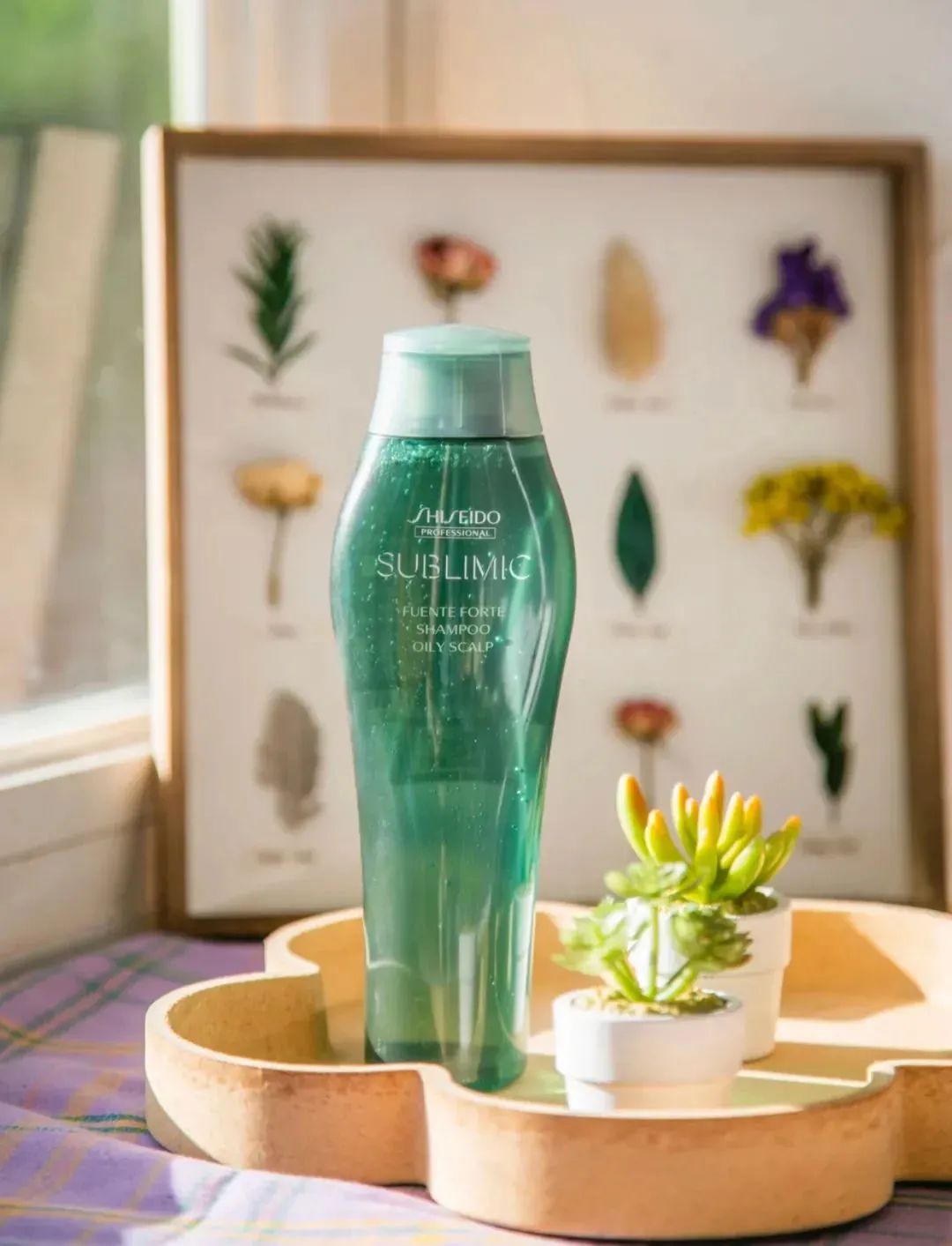 时代的眼泪化妆品红榜,时代的眼泪彩妆店