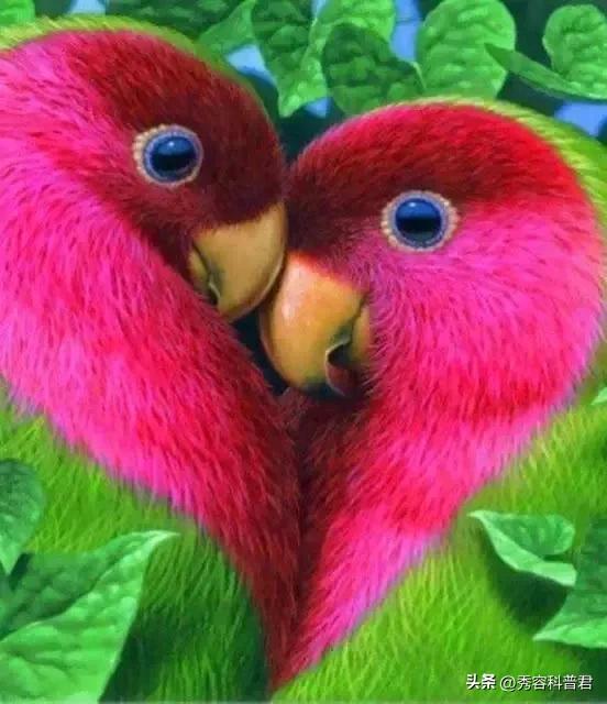 *拍偷**的夫妻生活照，羞羞的