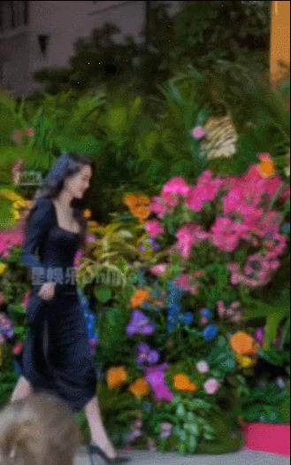 盘点娱乐圈好身材女星有哪些,娱乐圈拥有好身材的十大女星