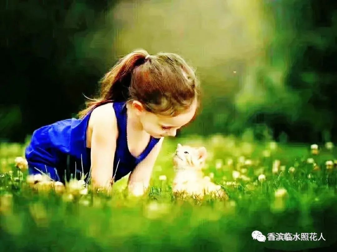 画一张动物朋友思维导图四年级,写动物作文的思维导图怎么画