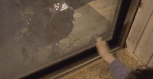 「王祖邪」对残缺审美，是健全者的傲慢：《绿洲》