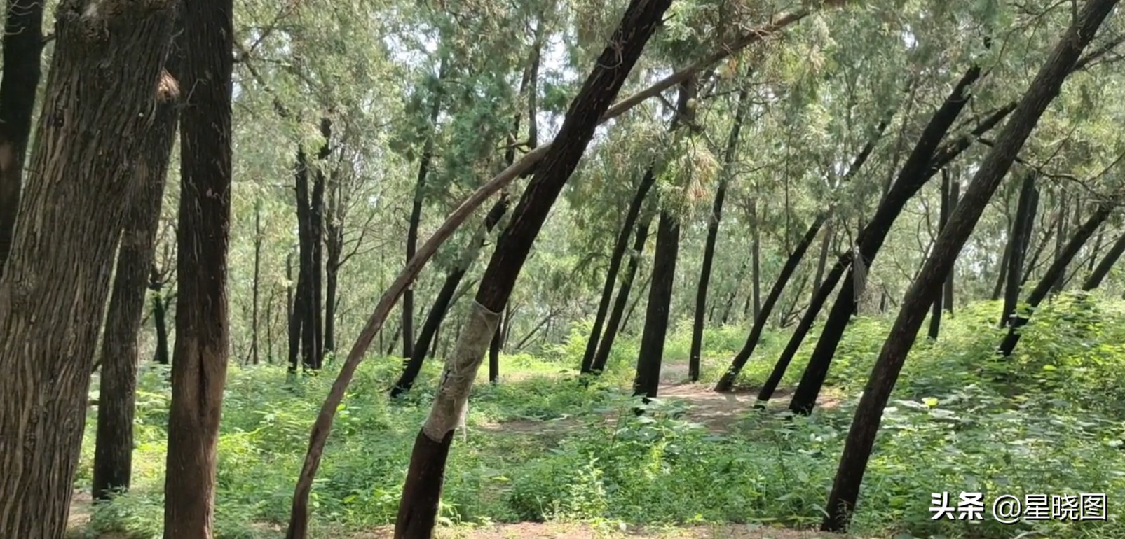 中国“鬼都”是山东*安泰**？