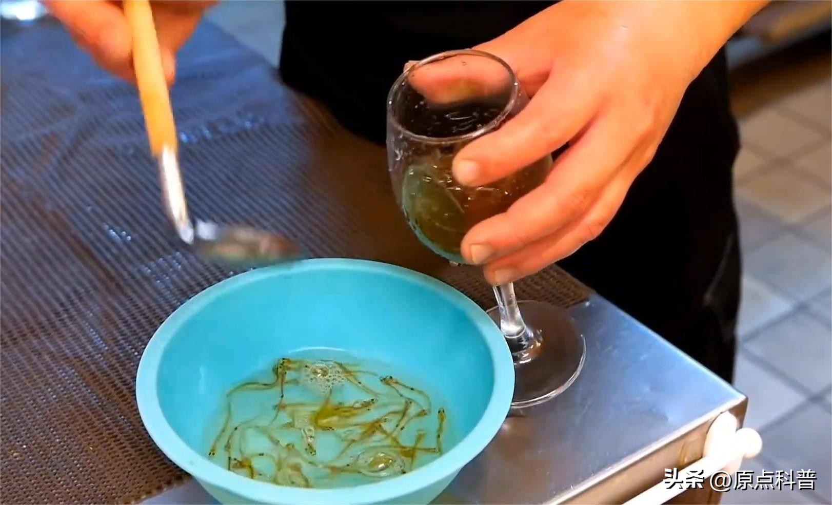 日本最奇葩的十种美食,日本美食奇葩美食