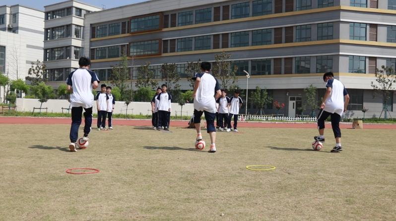 欢迎报考汉语言文学专业,南阳外国语学校报名