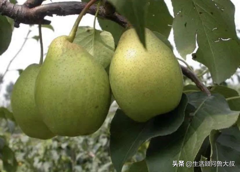 北京市的世界文化遗产有哪些,首批农业文化遗产