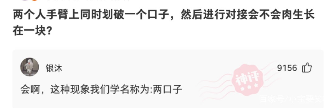 新买的板鞋质量好吗,新买的板鞋气味很重质量好吗