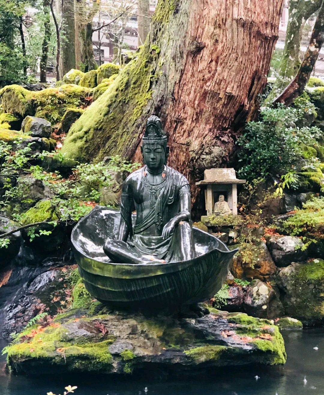 古代外国人来中国怎么沟通,古代使者语言不通