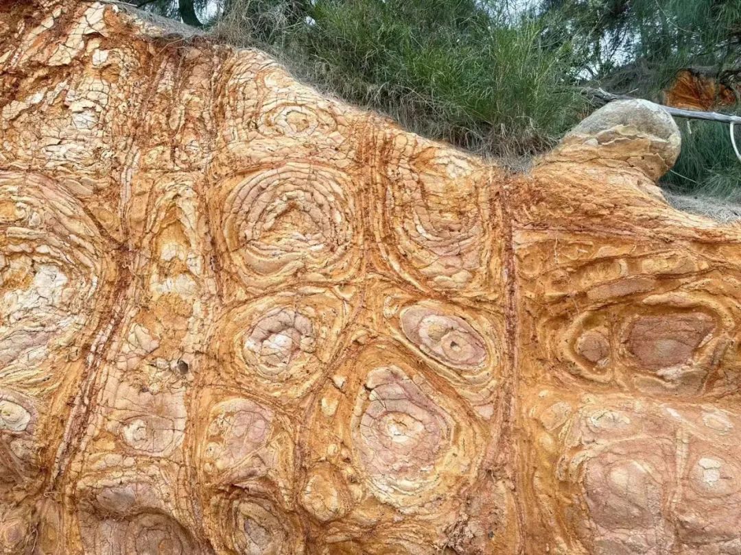 金门，我们在这边很想你